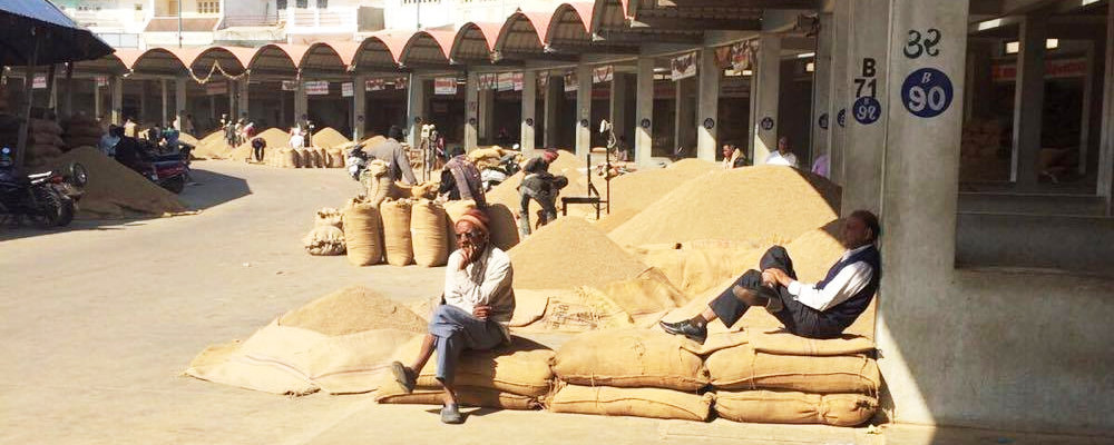 Export of spices Export of spices